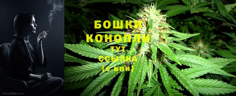 Бошки марихуана SATIVA & INDICA  Велиж 